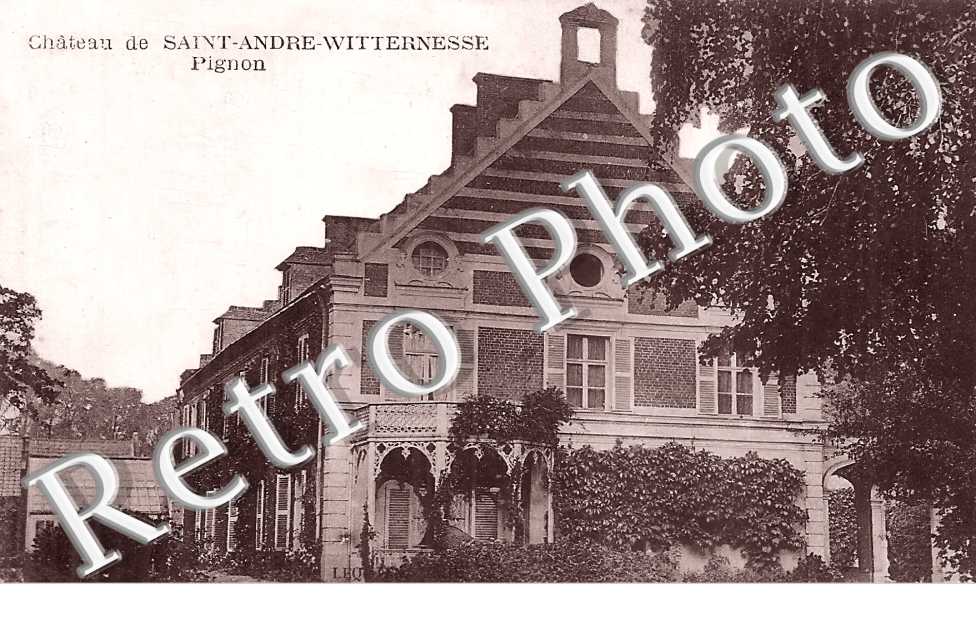  Pignon