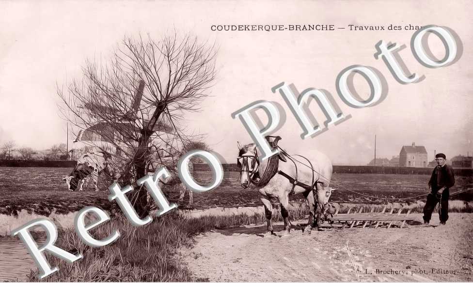 Travaux des champs