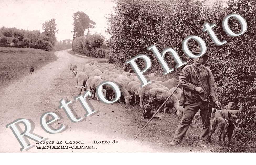 Berger de Cassel