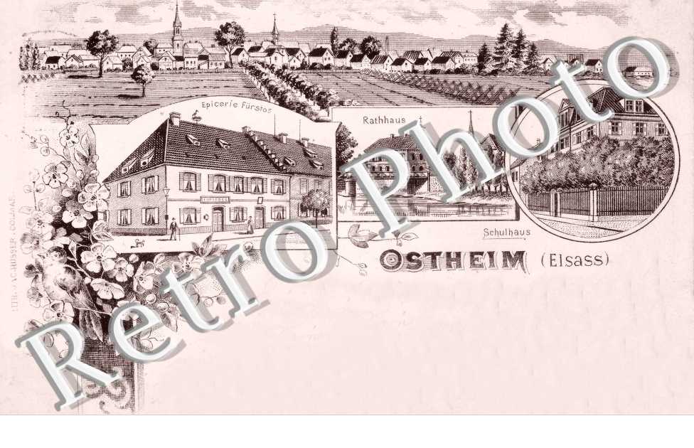 vue générale