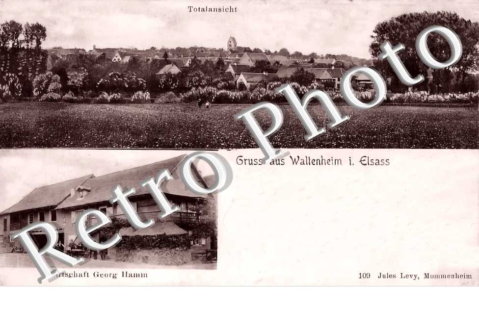 Wirtschaft Georg Hamm