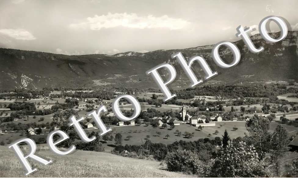 vue générale