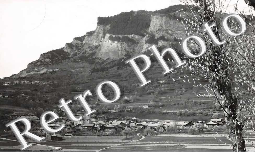 vue générale