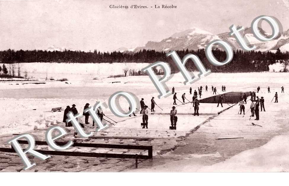 Glacières d'Evires. La récolte