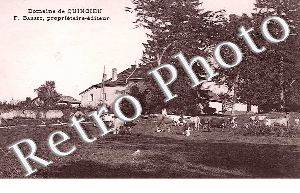 Domaine de Quincieu F. Basset propriétaire