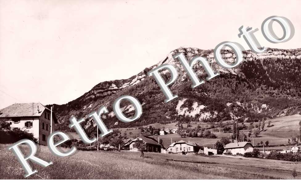vue générale