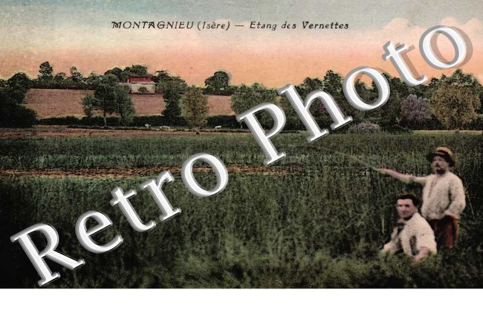 étang des Vernettes