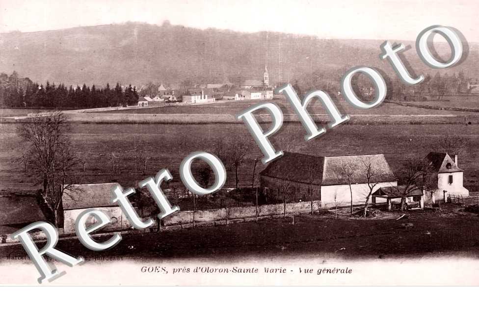 vue générale