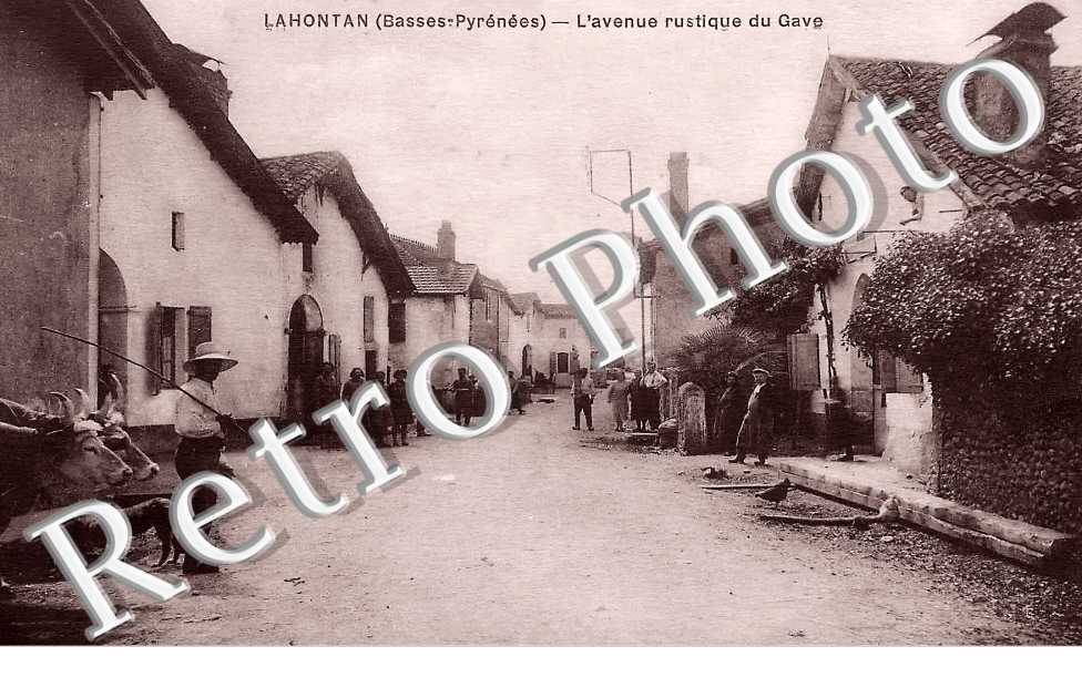l'avenue rustique du Gave