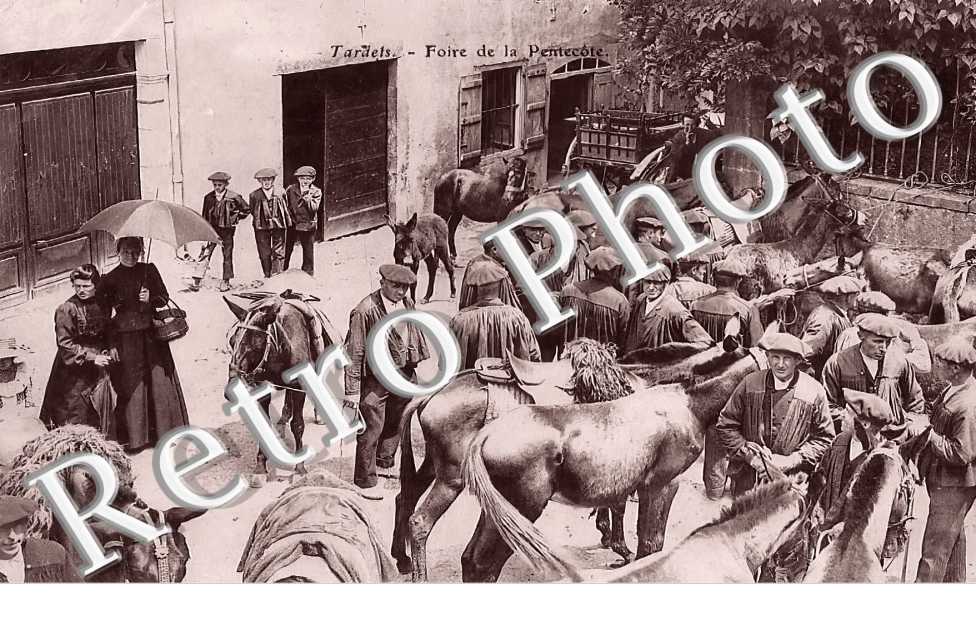 foire de la Pentecôte