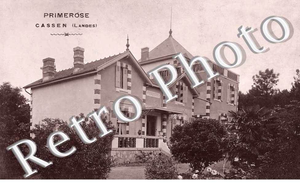 Primerose