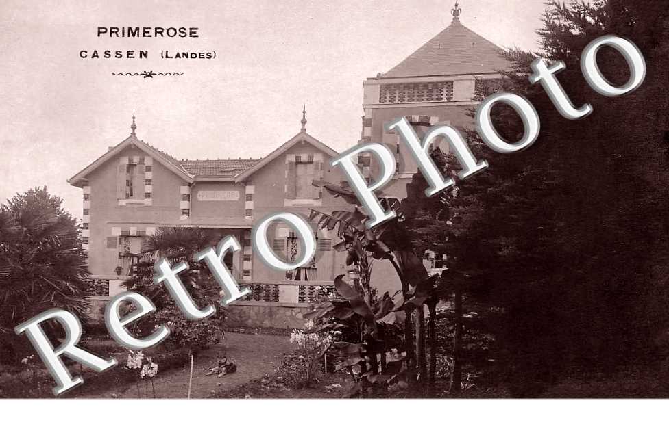 Primerose