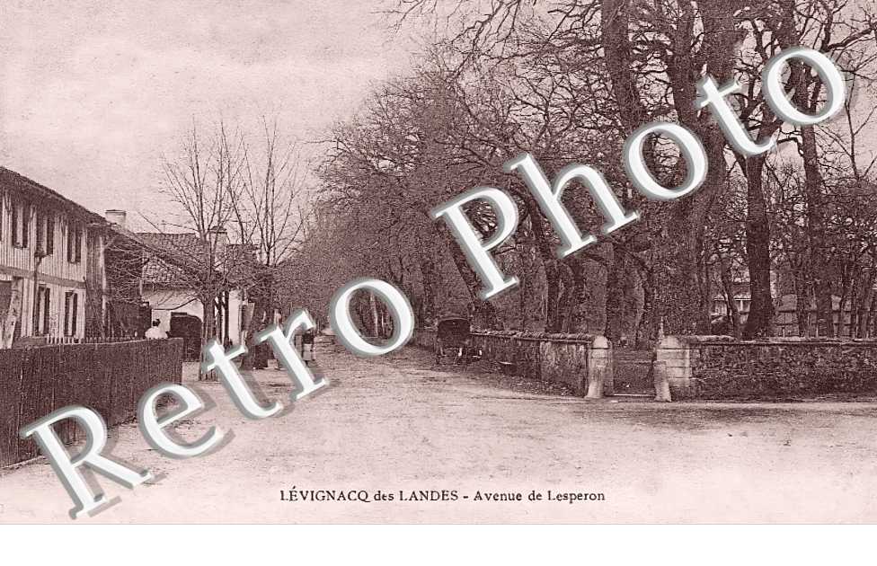 avenue de Lesperon