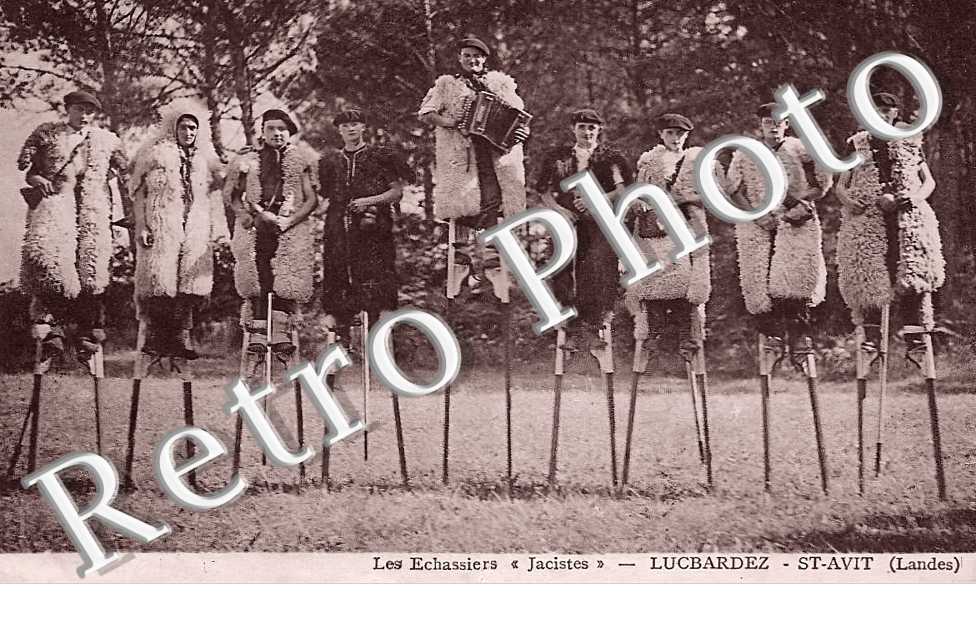 les échassiers Jacistes
