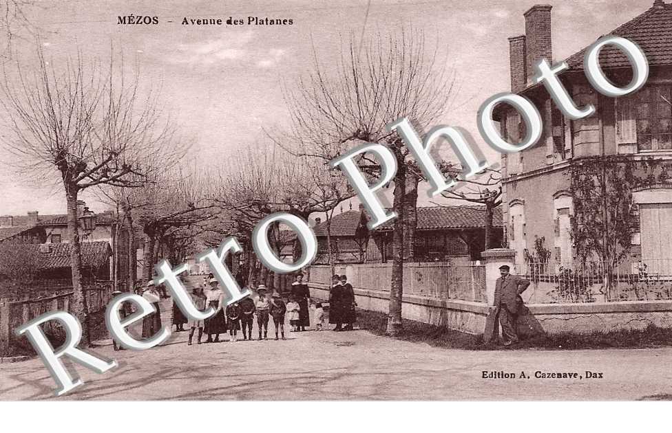 avenue des Platanes
