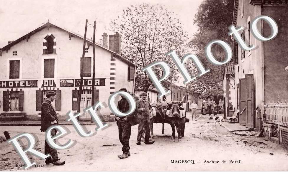 avenue du Forail