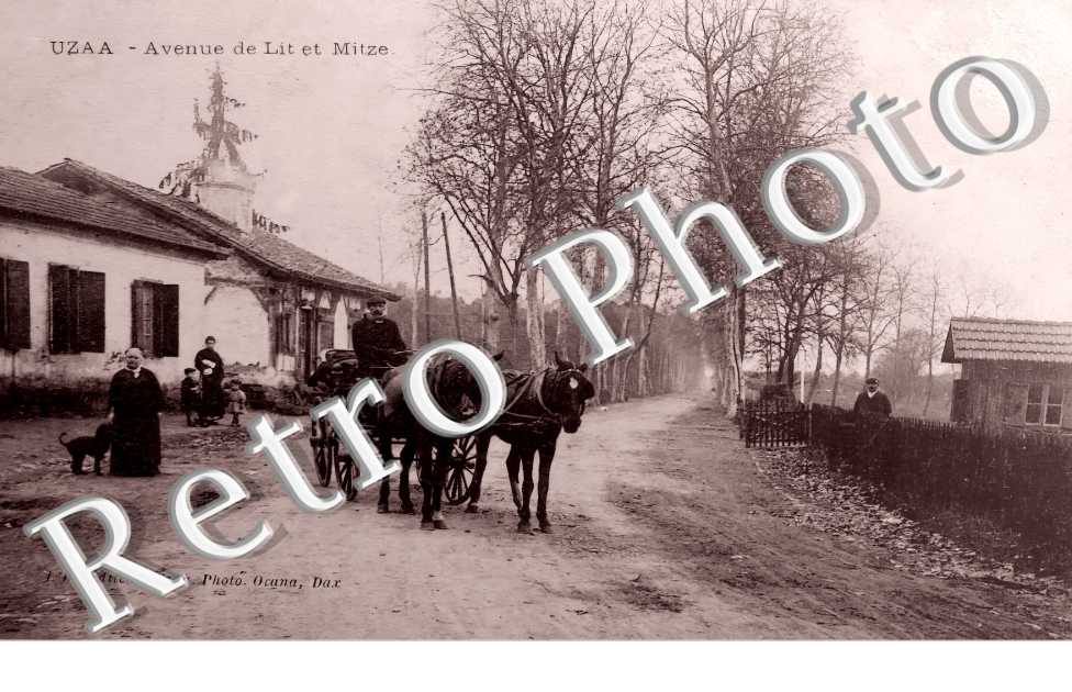 avenue de Lit et Mitze