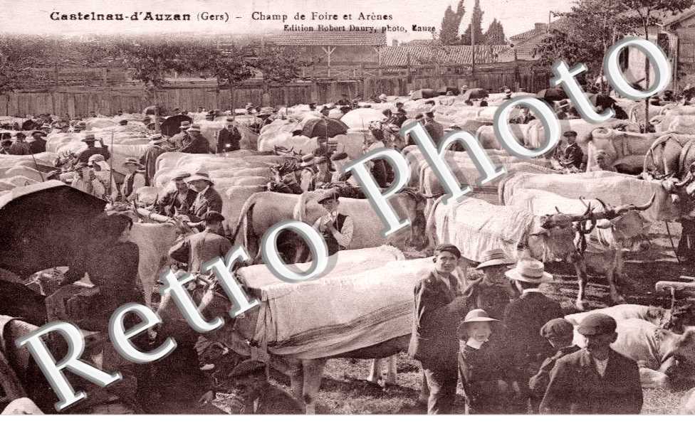 Champ de foire et arènes