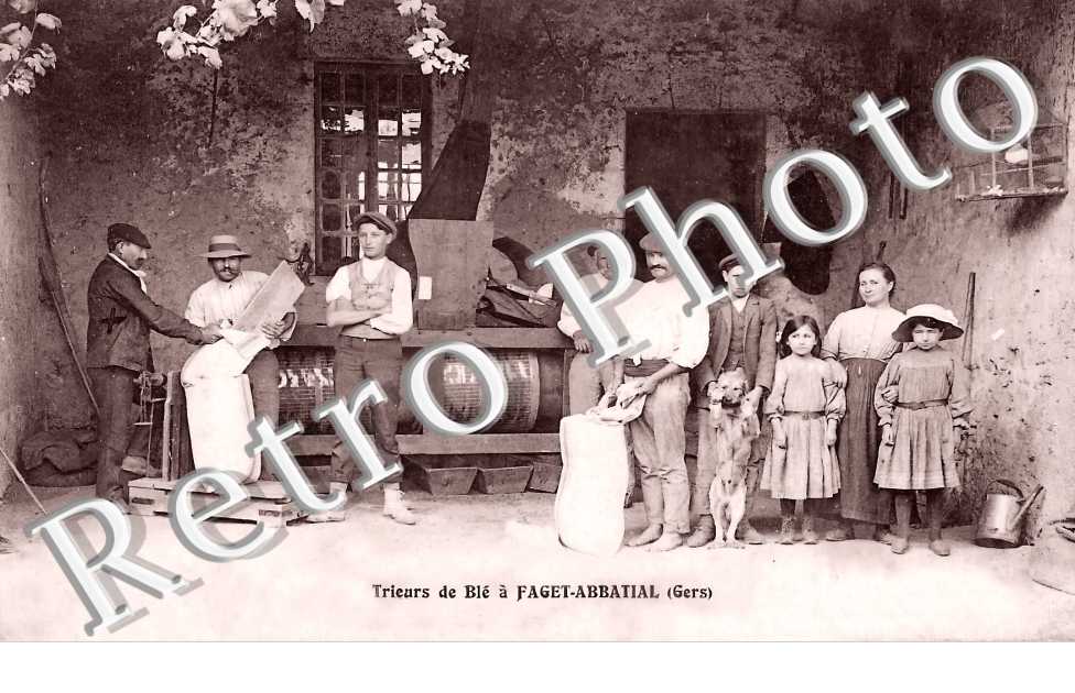 Trieurs de Blé