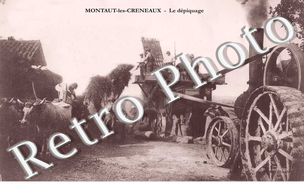 le dépiquage