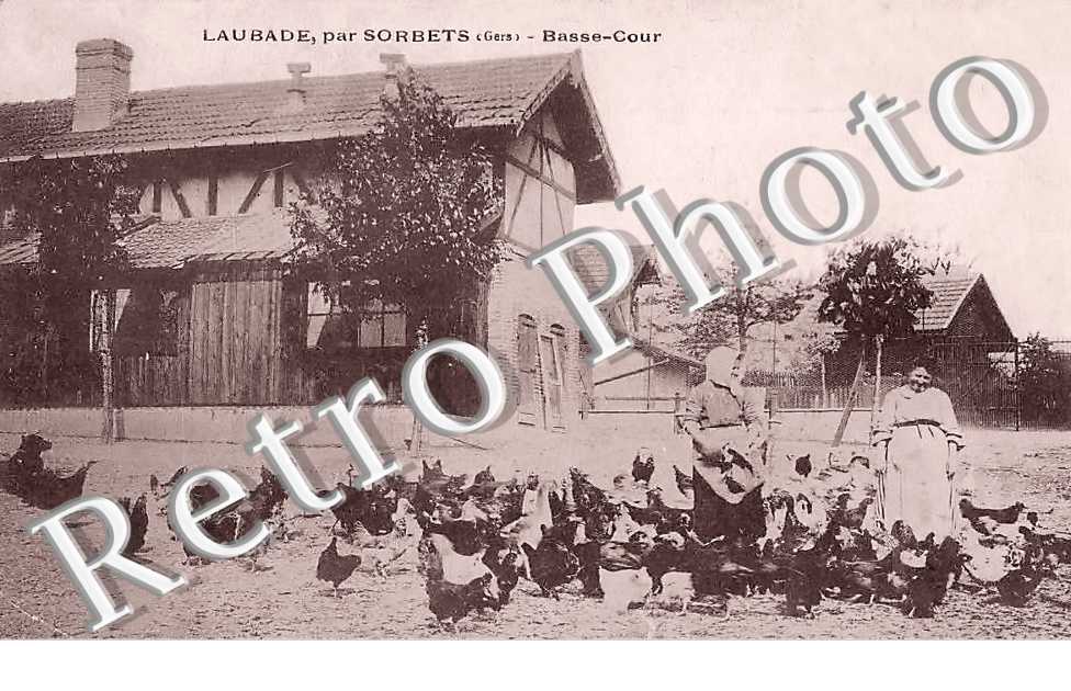 LAUBADE. Basse-cour