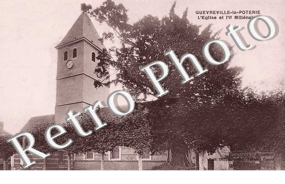 l'église et l'If millénaire