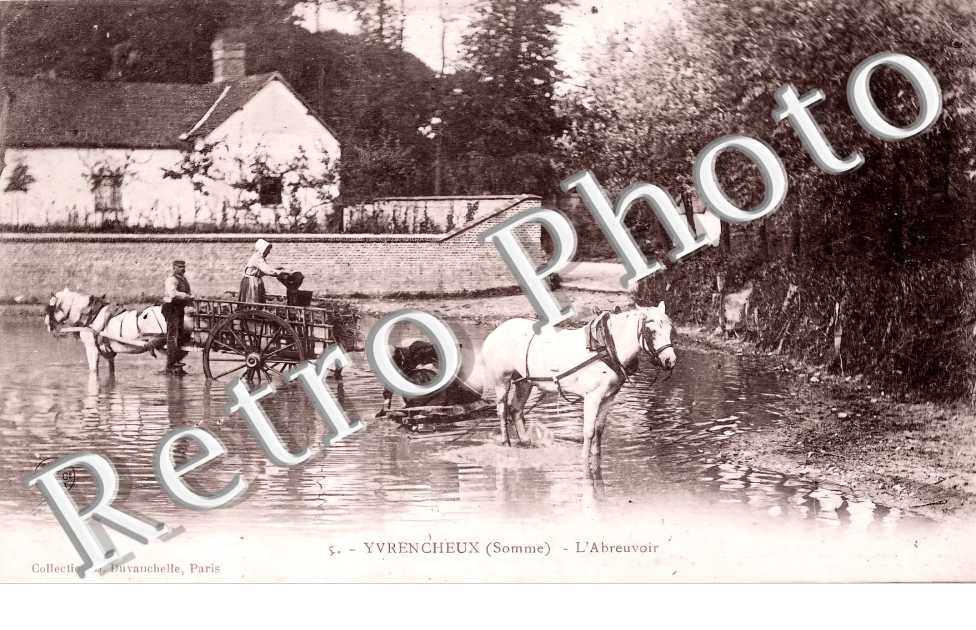 l'abreuvoir