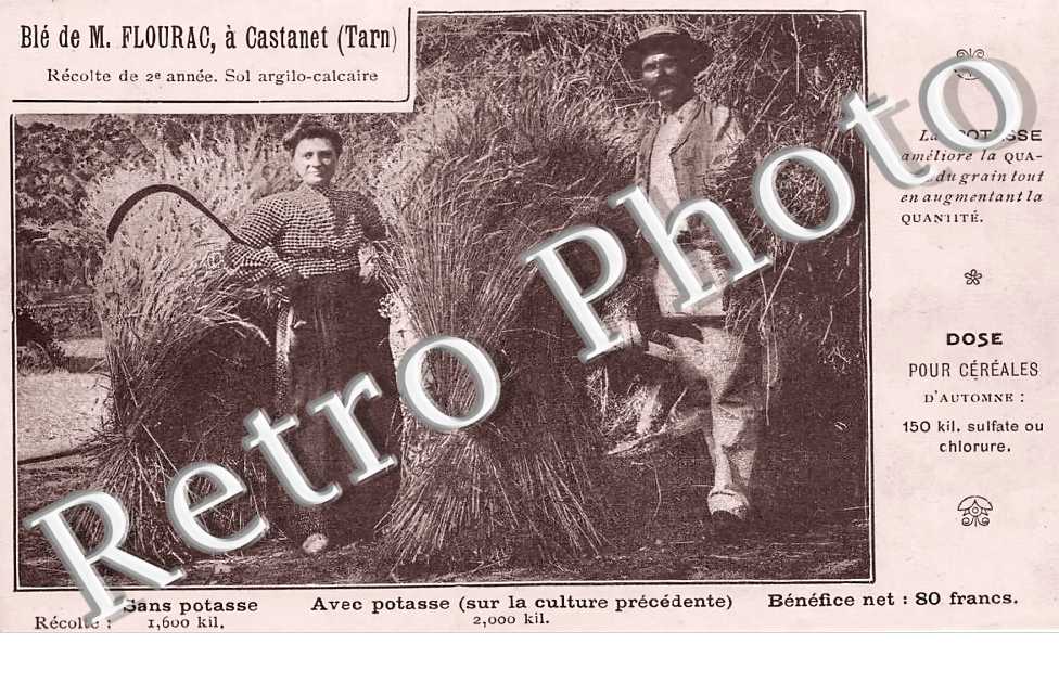 Blé de M. Flourac