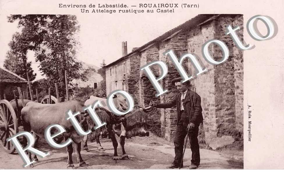 un attelage rustique au Castel