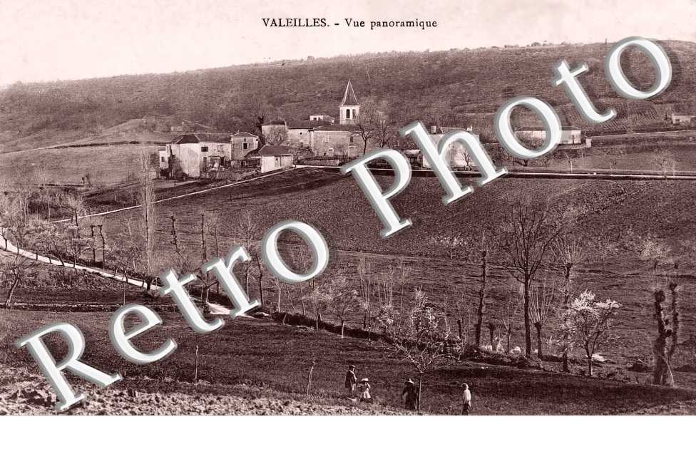 vue panoramique
