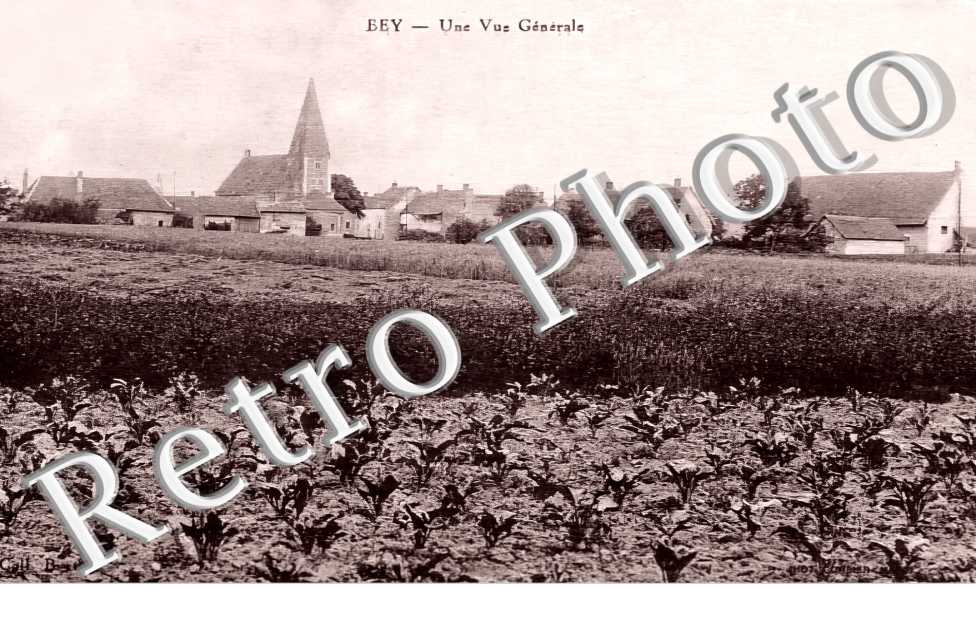 une vue générale