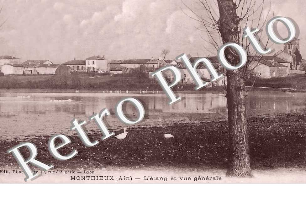 l'étang et vue générale