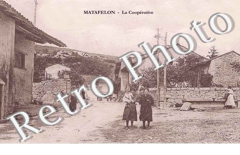 la coopérative