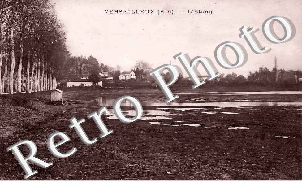 l'étang 