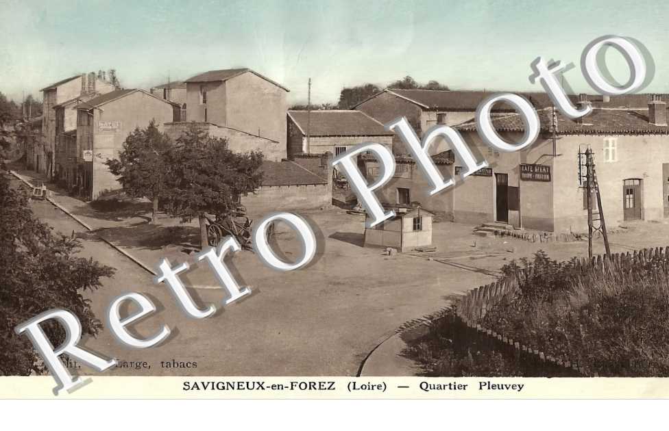 quartier Pleuvey