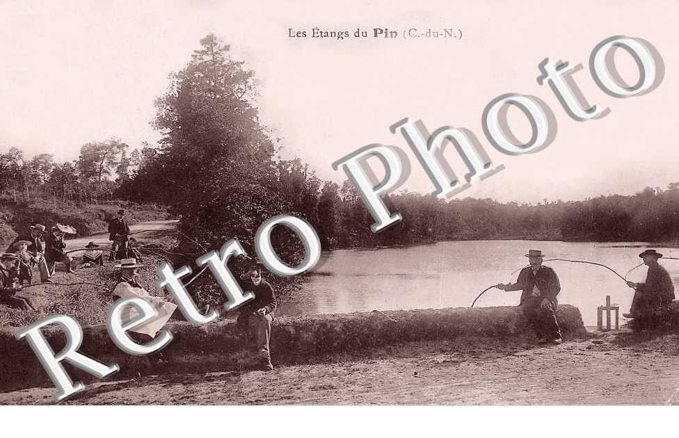 les étangs du Pin
