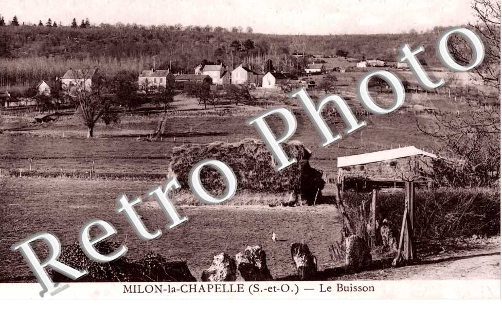 le Buisson