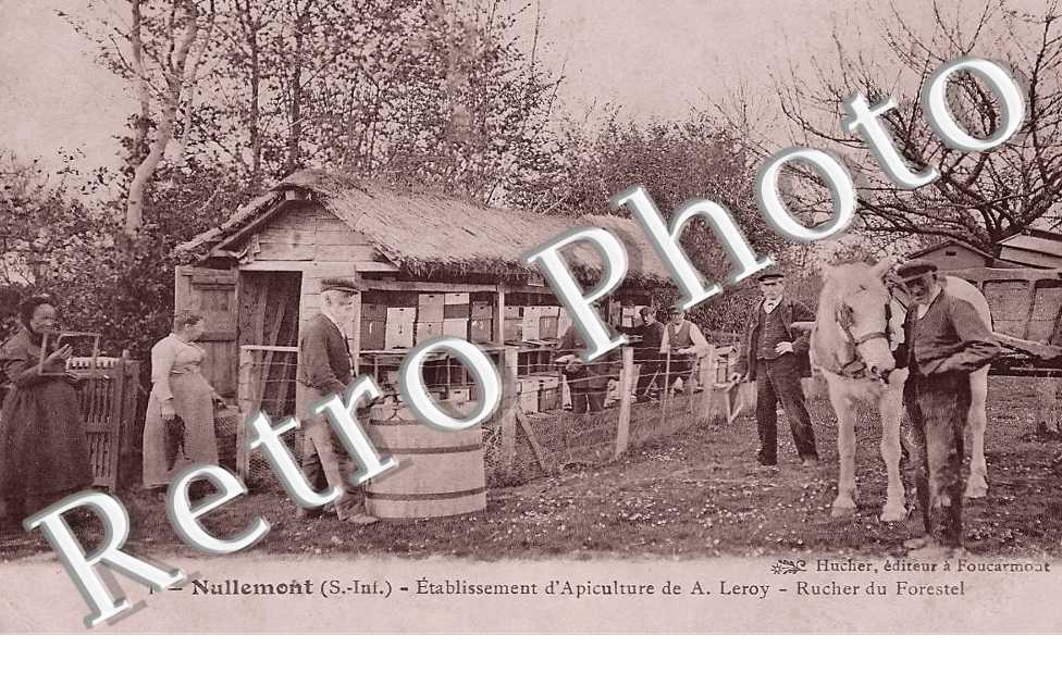 établissement d'apiculture de A. Leroy. Rucher du Forestel