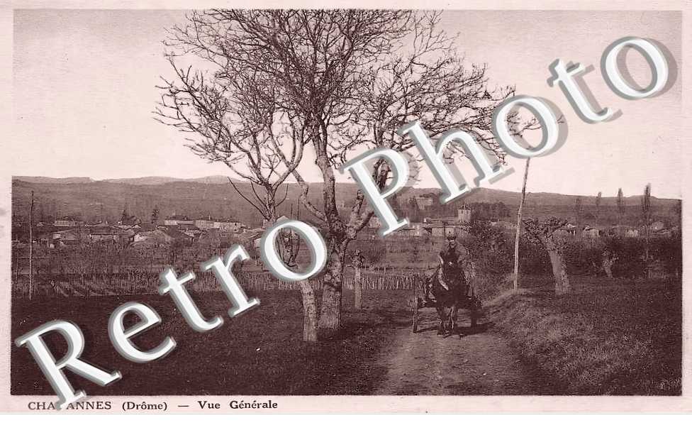 vue générale