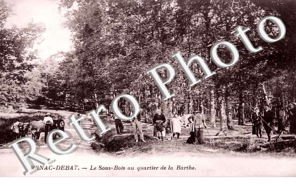 le sous-bois au quartier de la Barthe