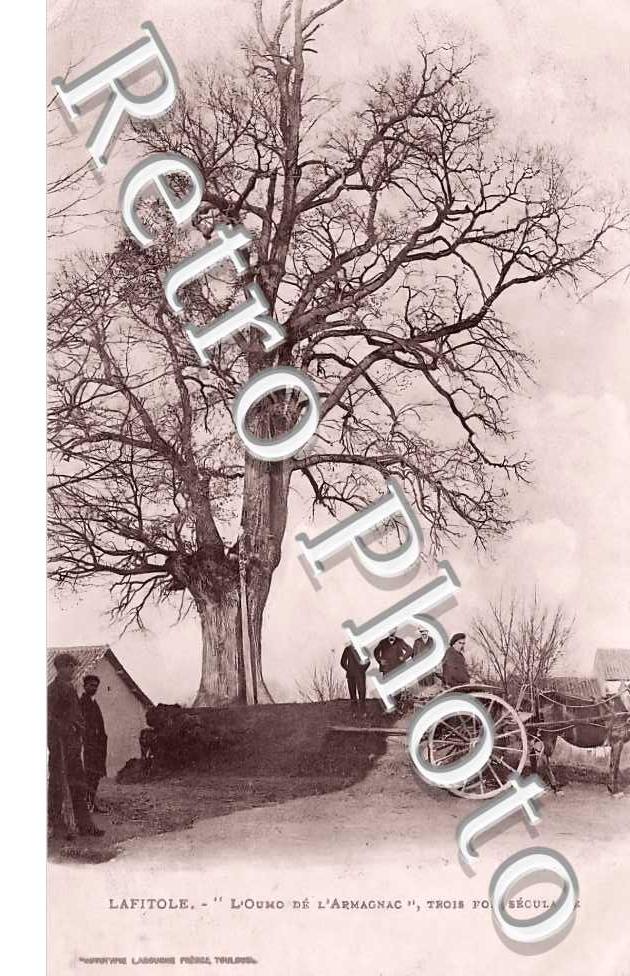 l'Oumo de l'Armagnac, Trois fois séculaire
