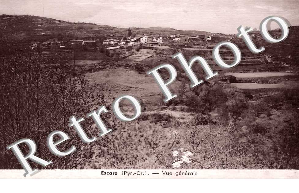 vue générale