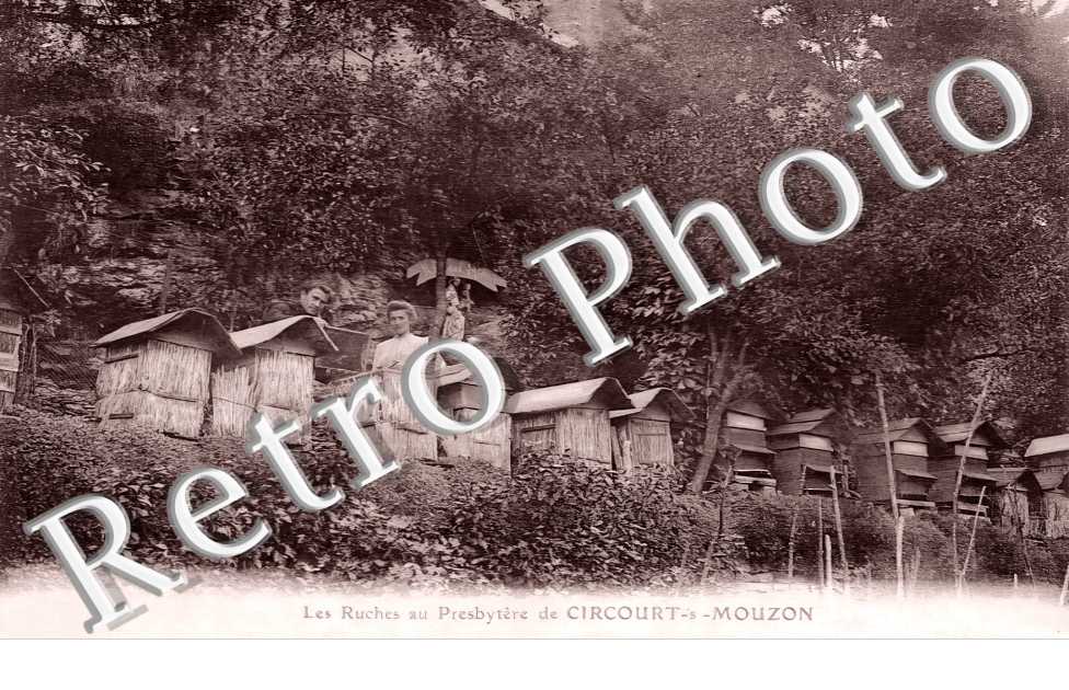 les ruches au Presbytère
