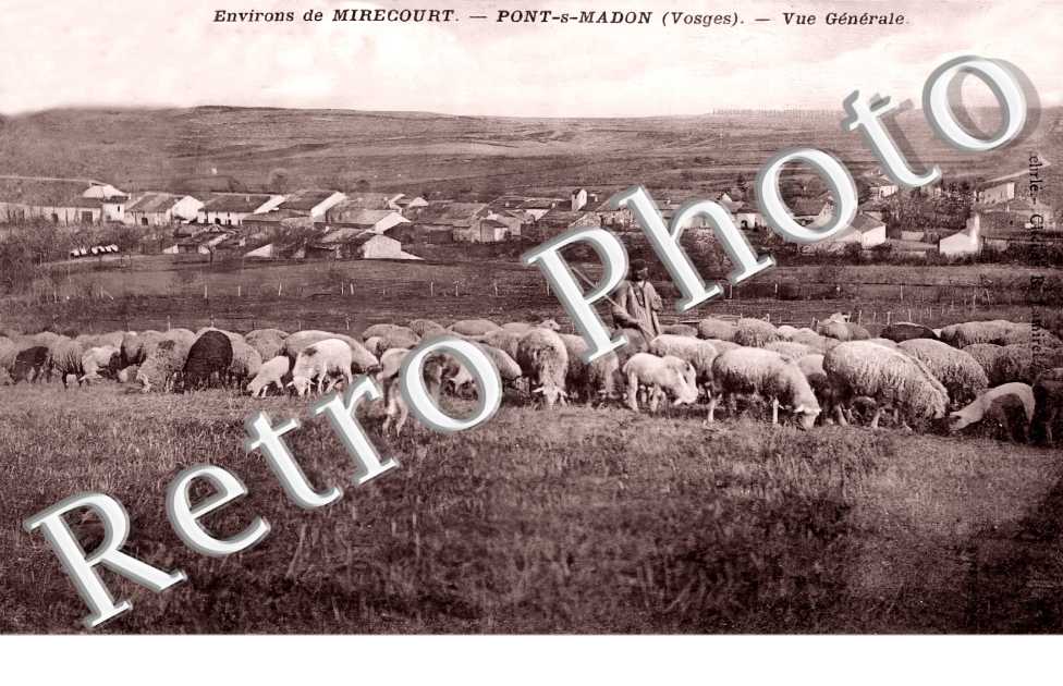 vue générale