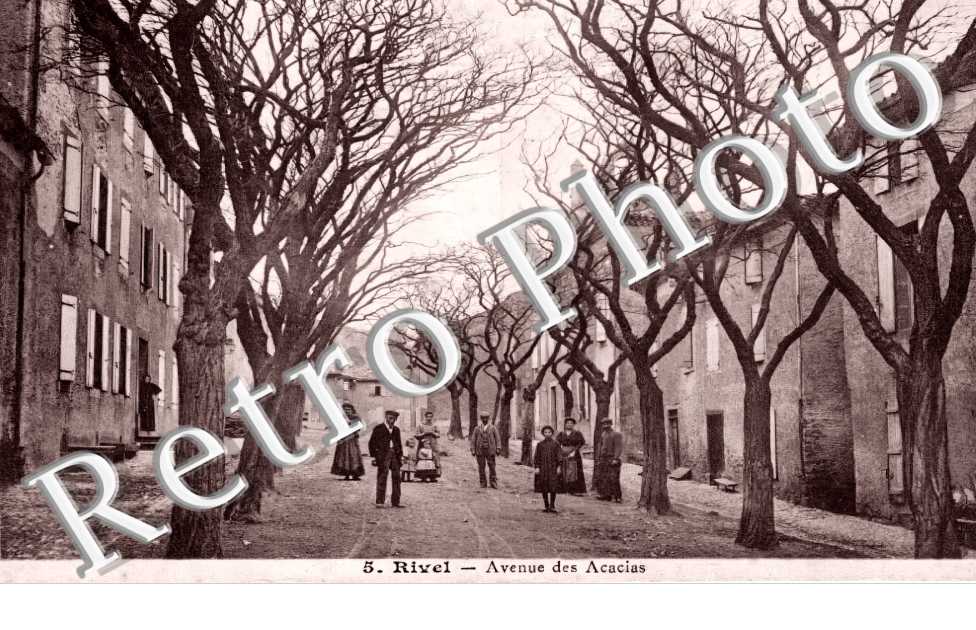 avenue des acacias