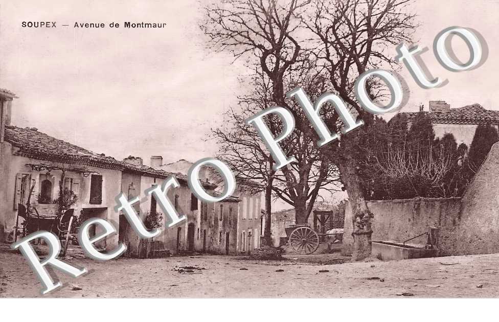 avenue de Montmaur