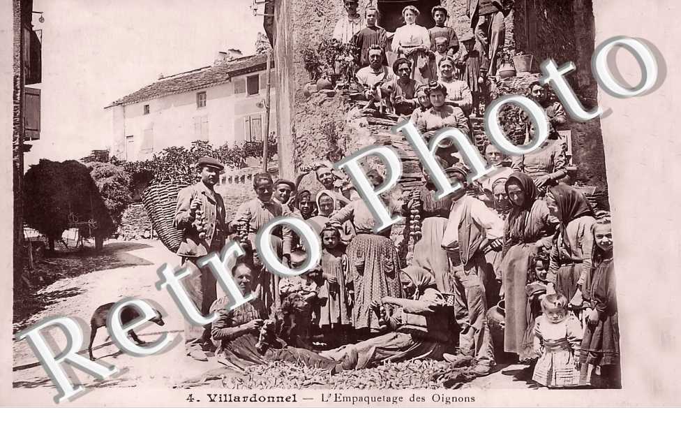 l'empaquetage des oignons