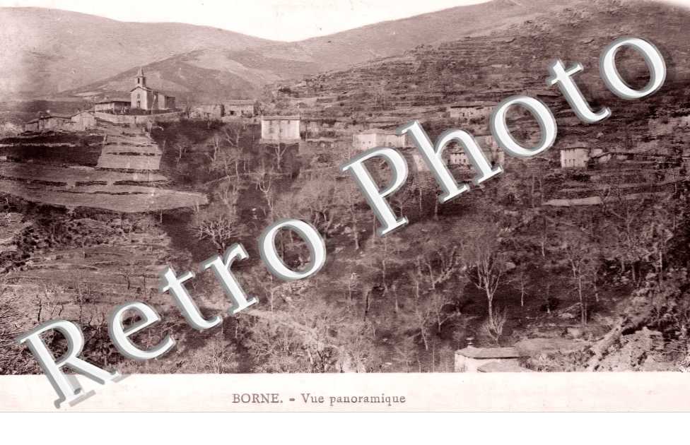 vue générale