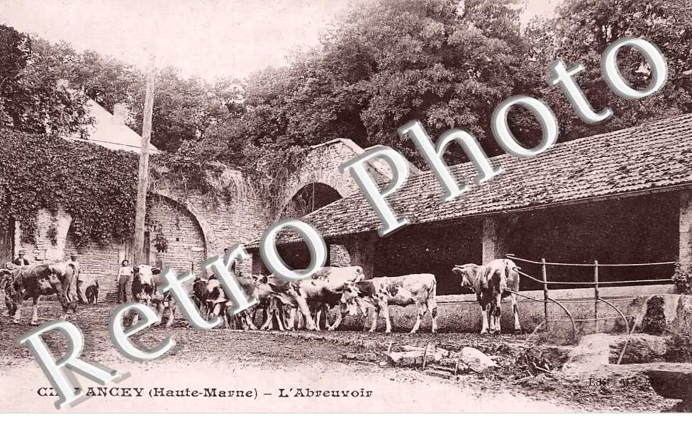 l'abreuvoir