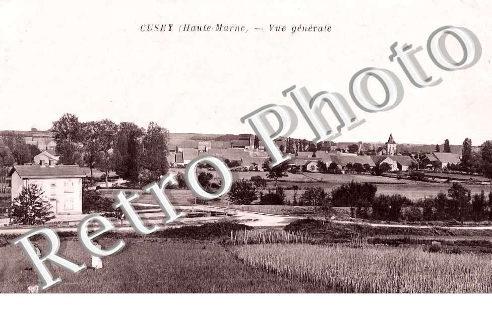 vue générale